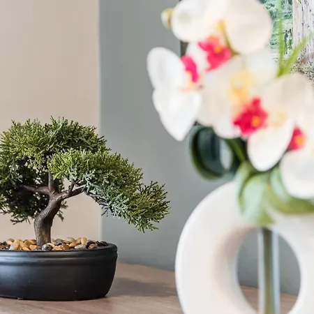 Guestready - Sound Of Nature - T1 Boavista Apartment *